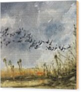 Flight Over Wetlands 2-12-2022 Wood Print