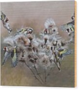 Flock Of Goldfinches On Thistle Wood Print