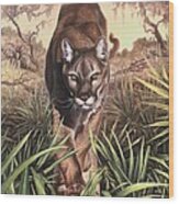 Florida Panther Wood Print
