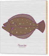 Flounder Wood Print