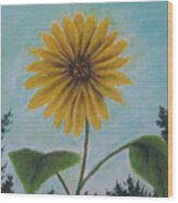 Flower Of Yellow Wood Print