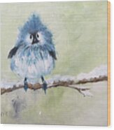 Fluffy Blue Bird Wood Print