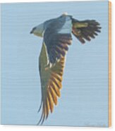 Flying Kite Wood Print