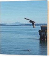 Flyover Port Townsend Bay Wood Print