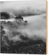 Fog Wood Print