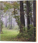 Foggy Autumn Morning In The Croatan National Forest Wood Print