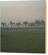 Foggy Morning Palms Wood Print