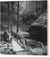 Footbridge On A Trail Wood Print