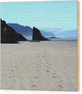 Footprints In The Sand Wood Print