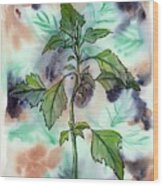 Forage. Lambsquarters Wood Print