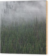 Forest Fog Wood Print