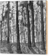 Forest Light In Black And White Wood Print