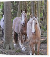 Forest Ponies Wood Print