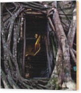 Forgotten Temple - Wat Ban Kung, Thailand Wood Print