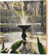 Fountains In The Sunny South Wood Print