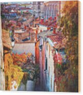 Fourviere Hill To Vieux Lyon France Wood Print