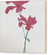 Free As A Blooming Red Flower Wood Print