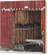 Freeze Dried- Wintertime Scene Of Tobacco Hanging To Dry In Red Shed Near Stoughton Wi Wood Print