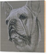 French Bulldog In Graphite Wood Print
