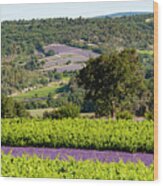 French Lavender Farms In Provence Three Wood Print