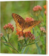 Fritillary In The Flowers Wood Print
