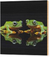 Frogs In The Dark Wood Print