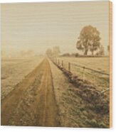Frosted Road In Outback Australia Wood Print