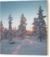 Frosty Morning In Pristine Nature Wood Print