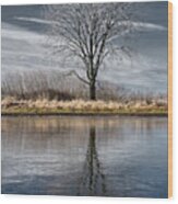 Frozen Pond And Frosted Tree With Reflection At Harveys Marsh In Wisconsin Wood Print