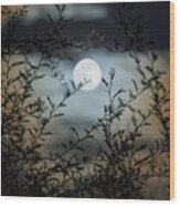 Full Moon Through Mesquite Branches Wood Print