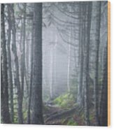 Fundy Fog Wood Print