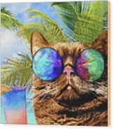 Funny Cat On Beach 675 Wood Print