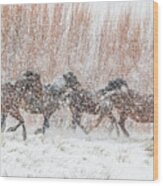Galloping In A Heavy Snowfall Wood Print