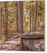 Garden Of The Gods - Camel Rock Trail In Autumn Wood Print