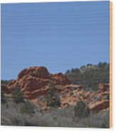 Garden Of The Gods Wood Print