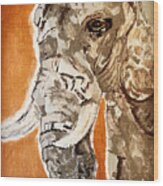 Elephant Gentle Giant Wood Print