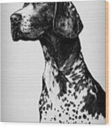 German Shorthaired Pointer Wood Print