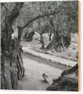 Gethsemane Wood Print