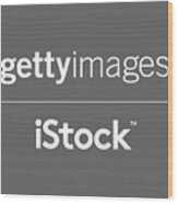 Getty Istock White Logo Wood Print
