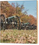 Gettysburg - Cannons In A Row Wood Print