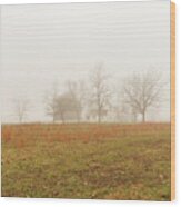 Gettysburg Winter 2020 Wood Print
