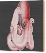 Giant Pink Octopus Wood Print