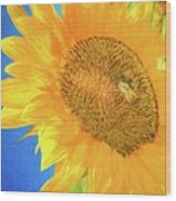 Giant Sunflower Wood Print