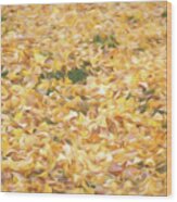 Ginko Leaves On The Ground In The Fall Wood Print