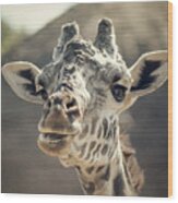 Giraffe Wood Print