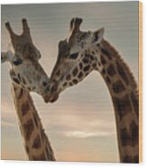 Giraffe Love Wood Print