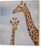 Giraffes Mom And Calf Wood Print