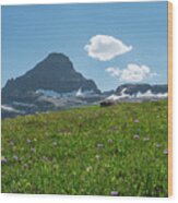 Glacier National Park #2 Wood Print