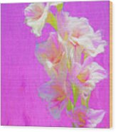 Gladiolas Painted 2 Wood Print