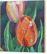 Glenveagh Tulips Wood Print
